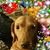 Bette Tainter-Forest's profile image