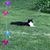 JimBarb Hansen's profile image