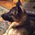 Donna Bushman Gut's profile image