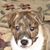 Annette Ashe's profile image