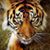 Joyce Dixon Dannheim's profile image