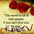 Noor Halima's profile image