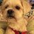 Kym Gates-Hawes's profile image