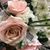 Rosie Urquhart's profile image