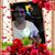 Karen Liebe's profile image