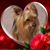Jennifer Sinawa's profile image