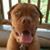 Linda Lulu's profile image
