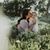 Nicole Linnae Lunt's profile image