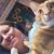 Laura Ax-Fultz's profile image