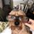 Gena Clark's profile image