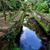 Debra Thomas Niven's profile image