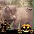 Theresia Carron's profile image