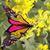 Debbie St John-Maldonado's profile image