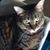 Rose Cerrone-Miller's profile image