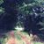 Shelli Ray Kraus's profile image