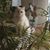 Theresa Ivey's profile image