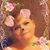 Marisa Luallen's profile image