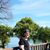 Carolyn Brown's profile image