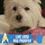 Sylvia M. Rittweger's profile image