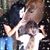Gina Dambrosio's profile image
