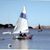 Sue Sheldon's profile image