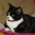 Cindy Rivard's profile image
