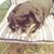 Kim Derr's profile image