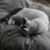 Melissa Wiltse-Myers's profile image