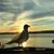 Jessica Zoccano's profile image