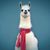 Cecil Mayo's profile image
