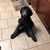 Jewell Grimes Wright's profile image