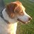 Mike Collins's profile image