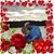 Dawn Moore Carter's profile image
