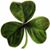 Colene Aug Belli's profile image