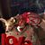 Debbie Hodges Potter's profile image