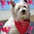 Cathy Clermont's profile image