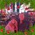 Nikki Coxhead's profile image
