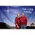 Nancy Harold Bailey's profile image
