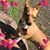 Christopher Klein's profile image