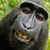 Doug Fisher's profile image
