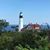 Diane Elliott Corliss's profile image