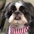Randi Kuveke's profile image