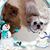 Cindy Boyer's profile image