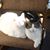 Kim Clark-Stecko's profile image