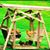 Diane Hallenbeck's profile image