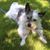Marcy L. Gehr's profile image