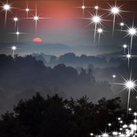 Dorothea DeHart's profile image