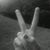 Terri Loy's profile image