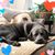 Dawn Coelin's profile image