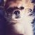 Ashley Lovell Beck's profile image